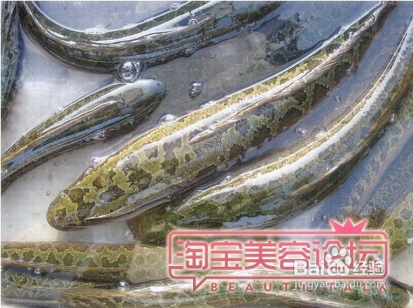 【梳式家庭主妇养生】外养内调，吃出健康瘦美人~