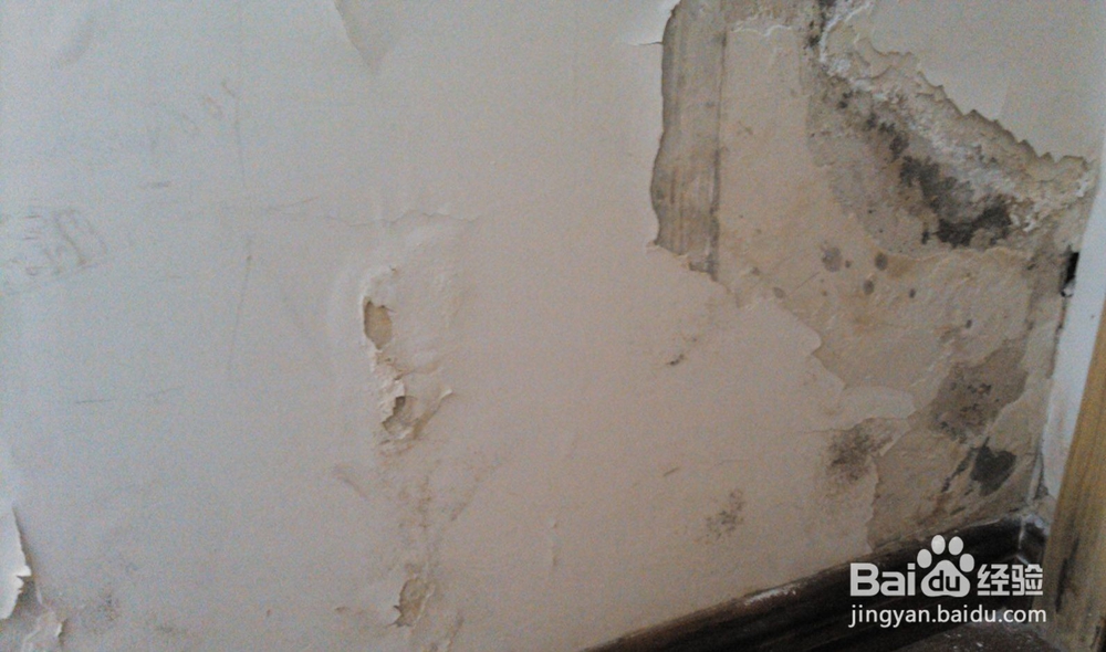 墙面起皮如何判断是因为漏水还是反碱？