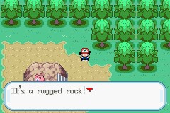 口袋妖怪圣灰攻略图片5