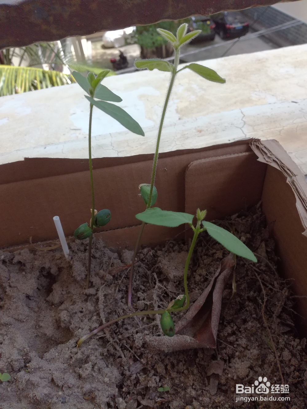 快递盒、矿泉水瓶的二次利用