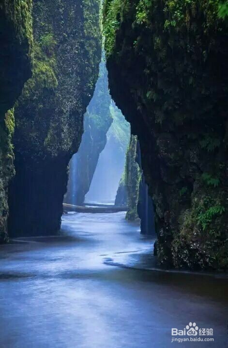 怎样才能调理好肠胃 吃什么养胃