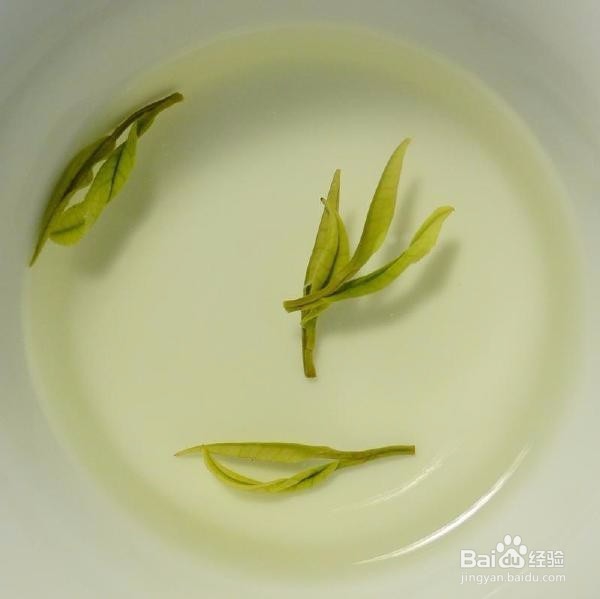 喝蒿坪毛尖的好处有哪些