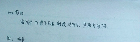 语文课教案怎么写好写规范（《相信未来》为例）