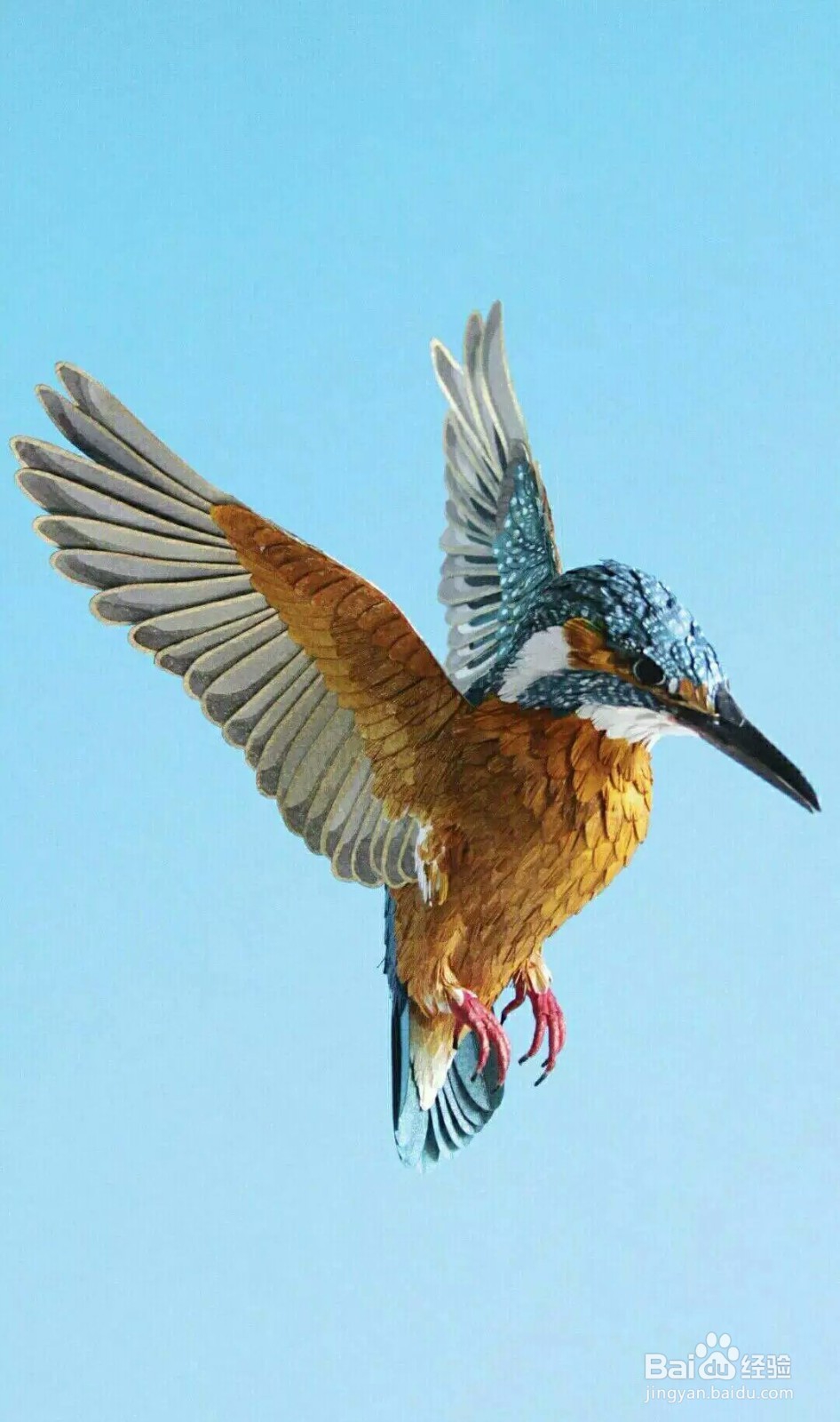 爱是卑微如沙 走时一丝不挂