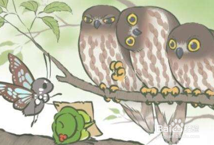 旅行青蛙珍品找不到