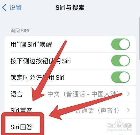 iPhone手机如何文字显示与Siri的对话