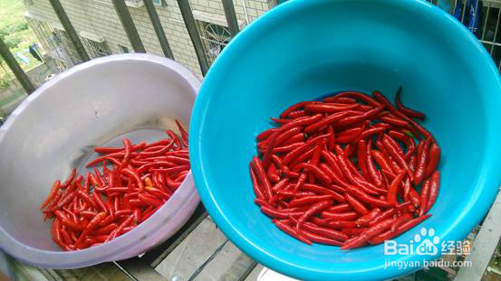 如何做出色香味俱全的好吃的剁辣椒来