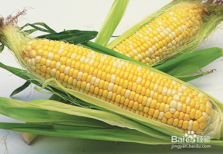 食物不耐受便秘怎么办