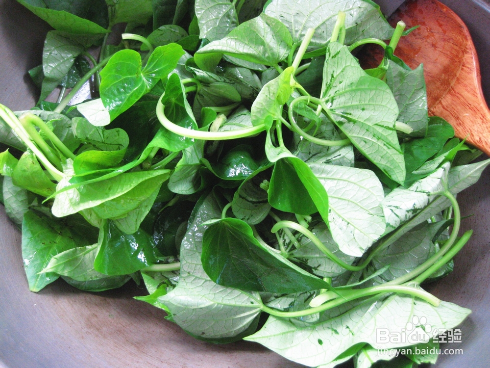 简单家常菜——蒜蓉红薯尖