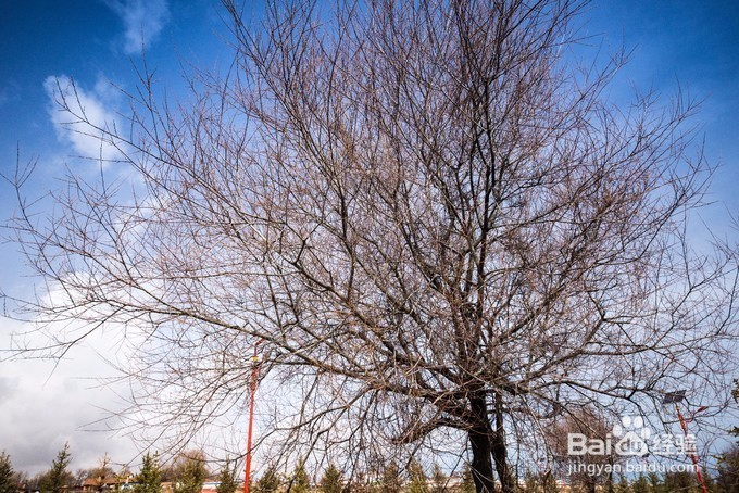 青海湖租电动摩托车环湖骑行攻略