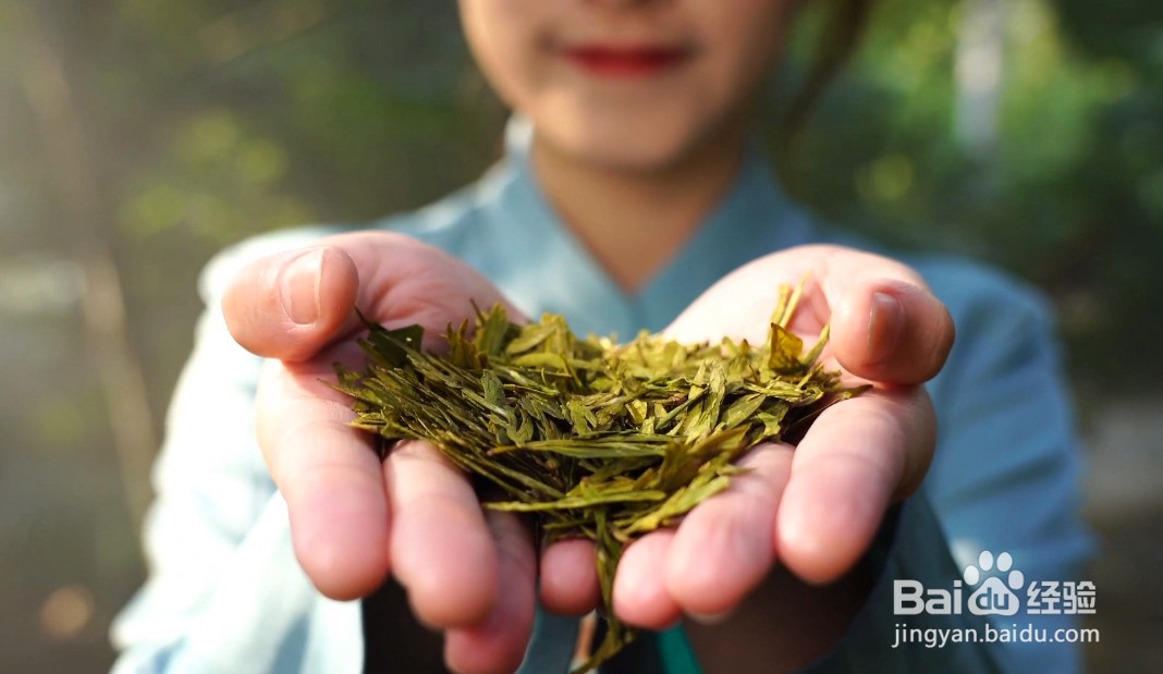 如何分辨优质的绿茶？