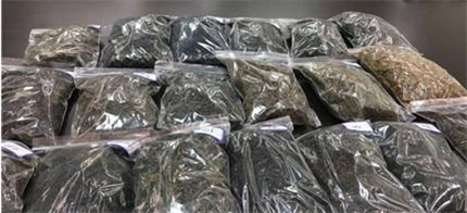 乌龙茶常见的一些审评术语