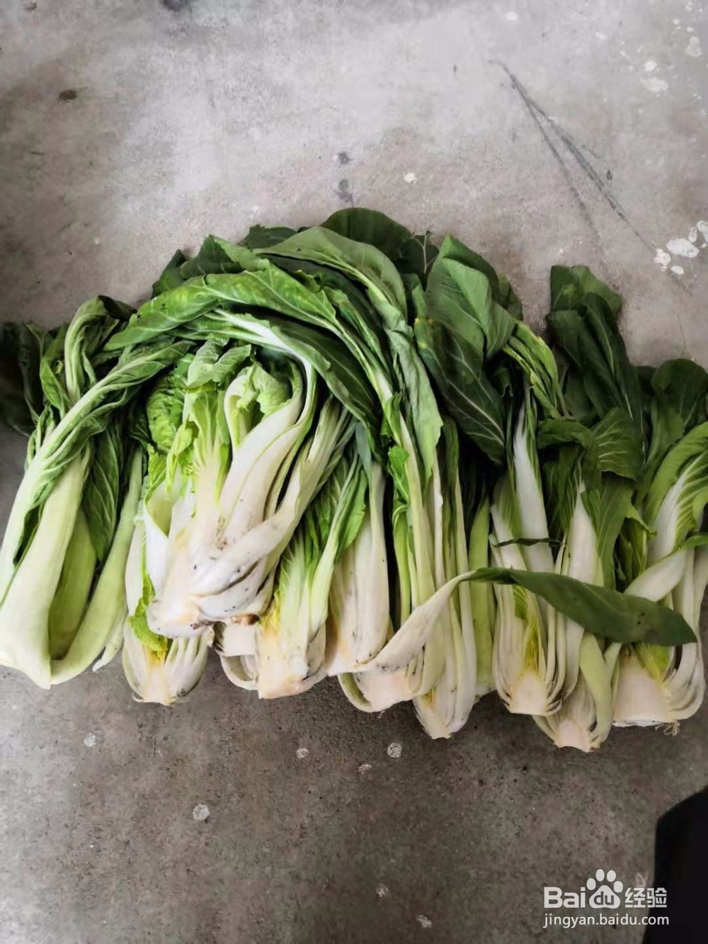 农家白菜腌制方法