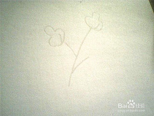 简笔画好看的叶子: