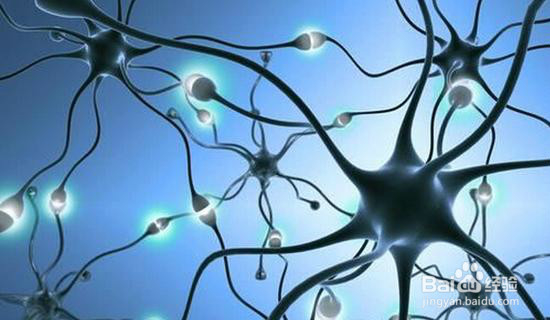 怎样发挥内向孩子的力量