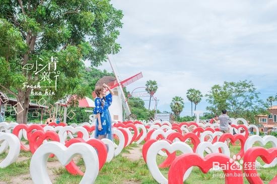 在公园里呆萌一次：小瑞士绵羊牧场