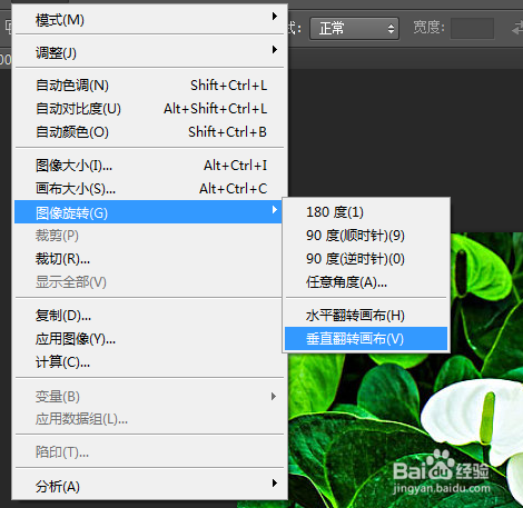 photoshop如何实现水平/垂直翻转
