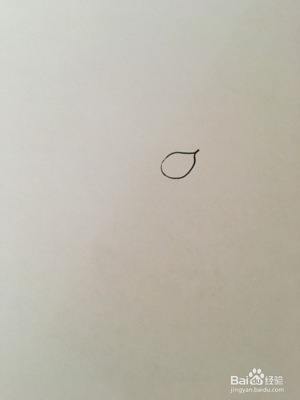 幼儿简笔画：马蹄莲花的画法