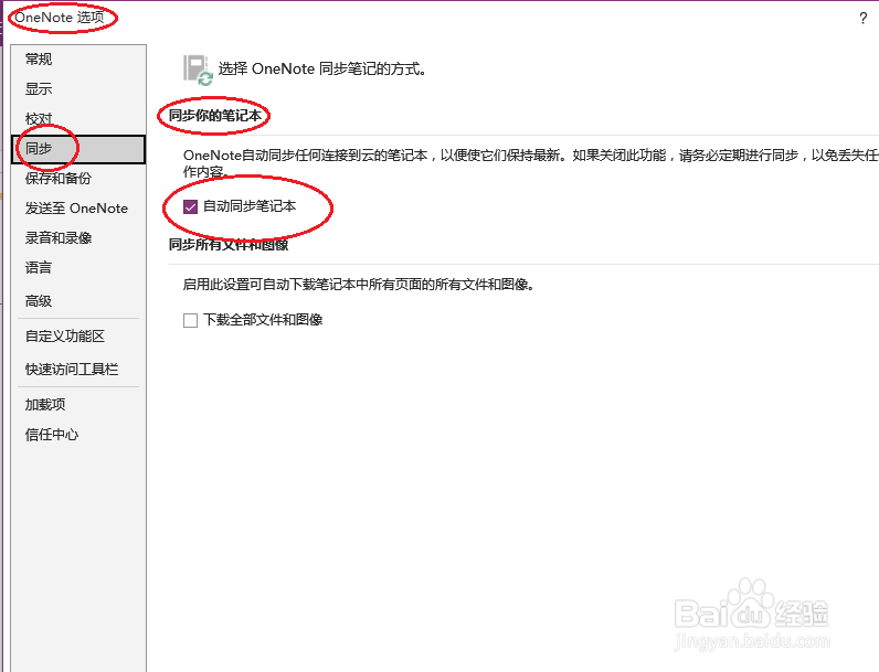 OneNote 2016如何设置自动同步笔记本