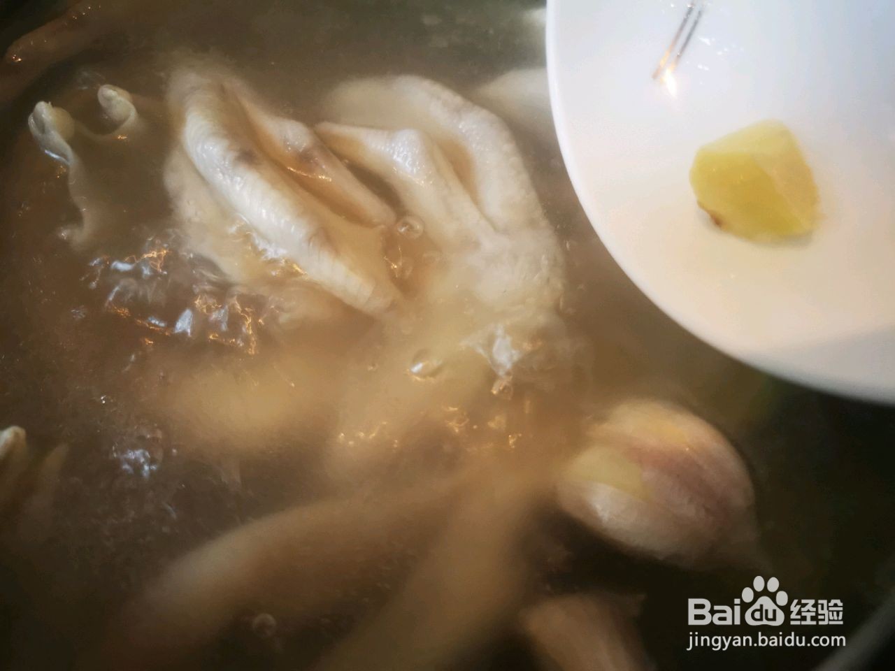 酱香鸭掌煲的做法