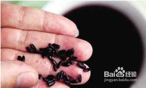 黑米红枣滋补粥的做法