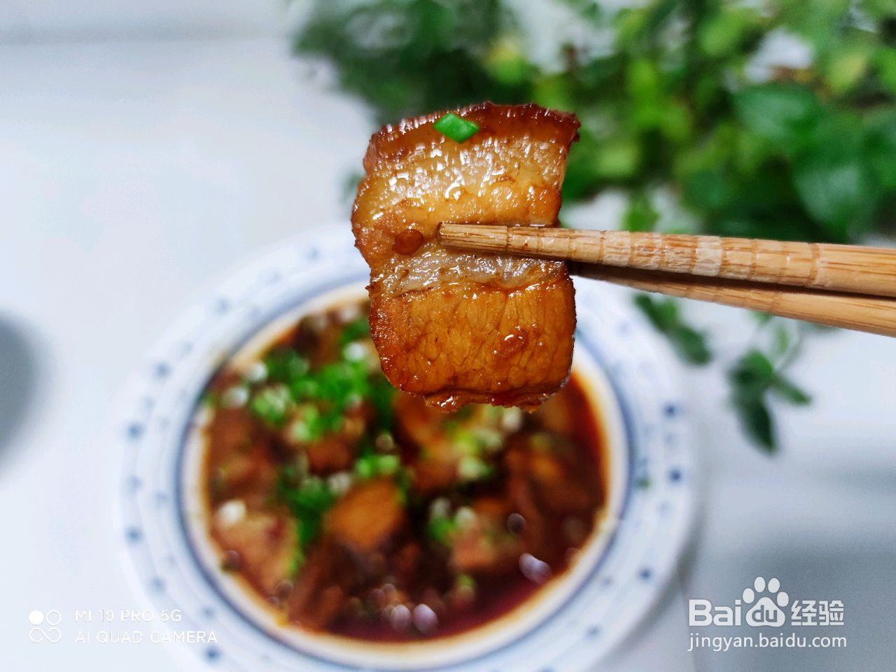 简单好吃的红烧肉的做法