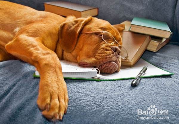 孩子不爱看书怎么办?如何培养孩子的阅读好习惯