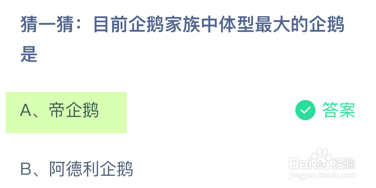 蚂蚁庄园答案目前企鹅家族中体型最大的企鹅是