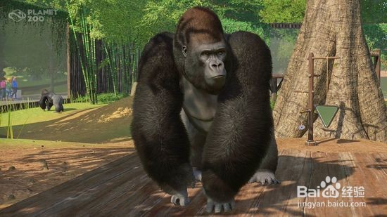 《动物园之星》理财游戏