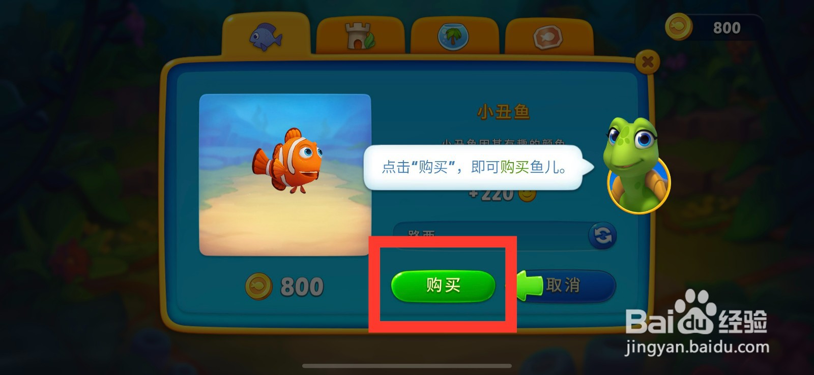 梦幻水族箱购买小丑鱼的方法