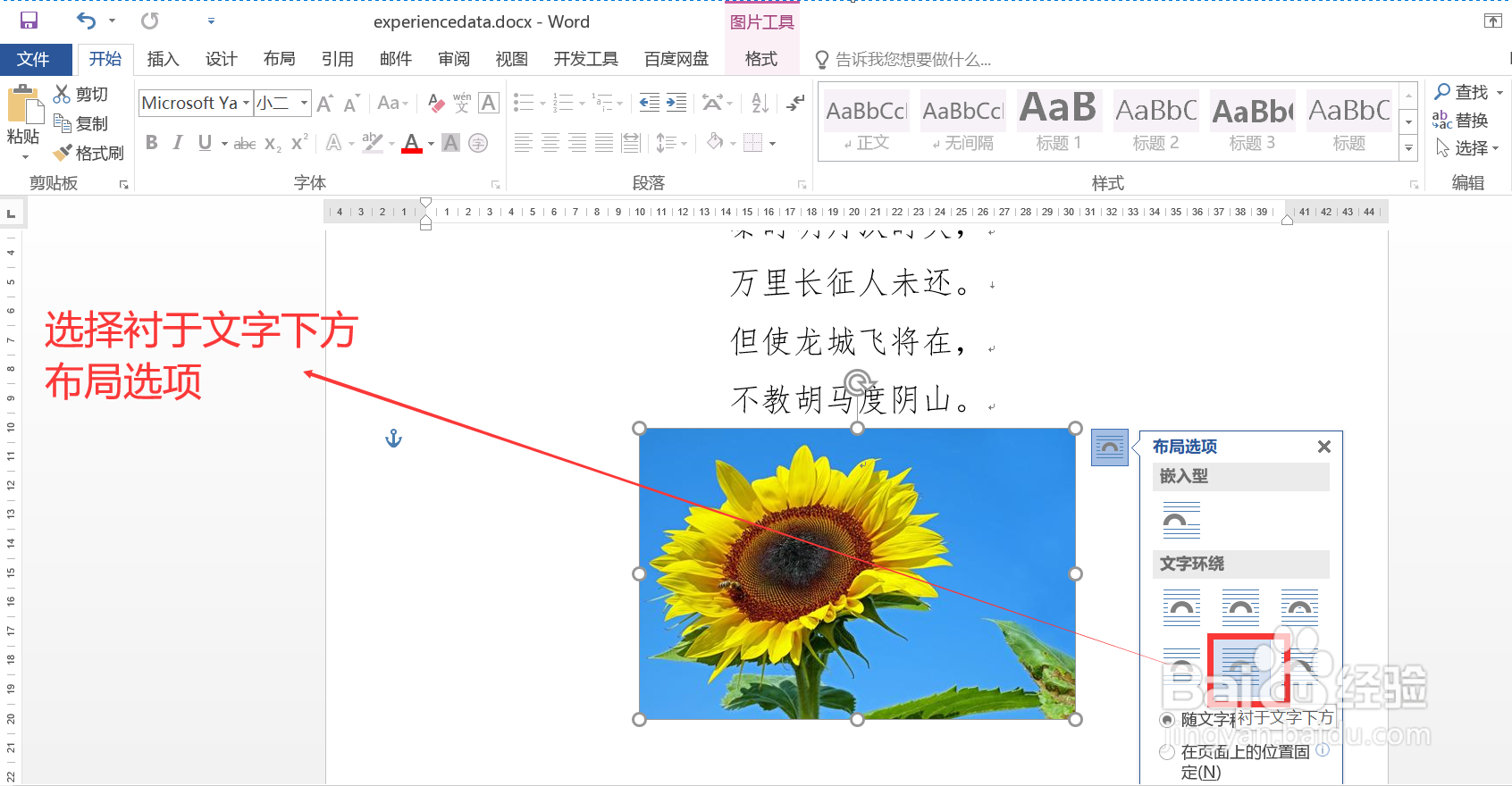 word技巧#在文档中如何将一张图片置于文字下方