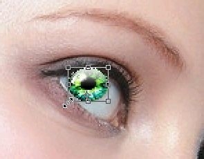 给眼睛添加美瞳