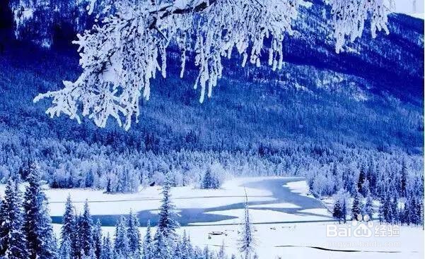 喀纳斯冬季旅游全攻略