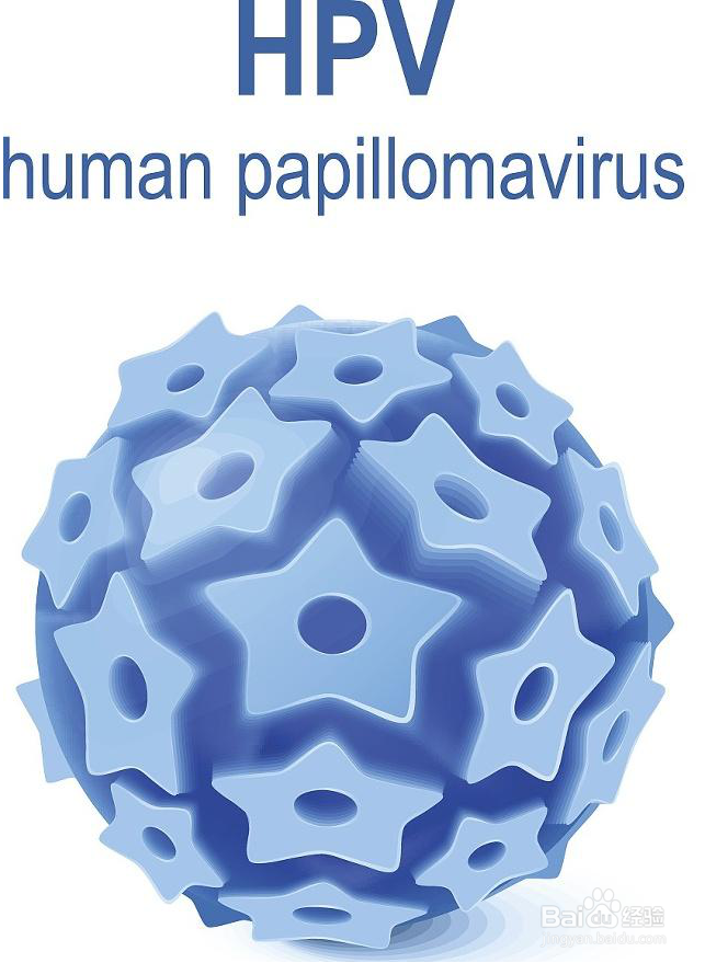 hpv转阴后是不是永远不再复发？