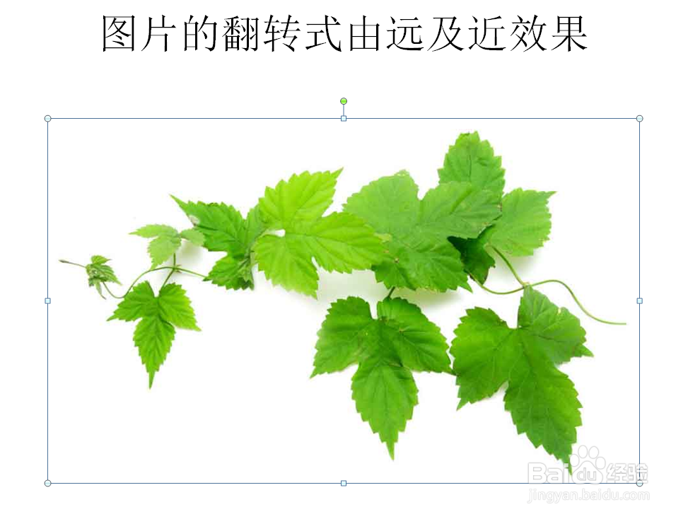 PPT如何创建图片的翻转式由远及近效果