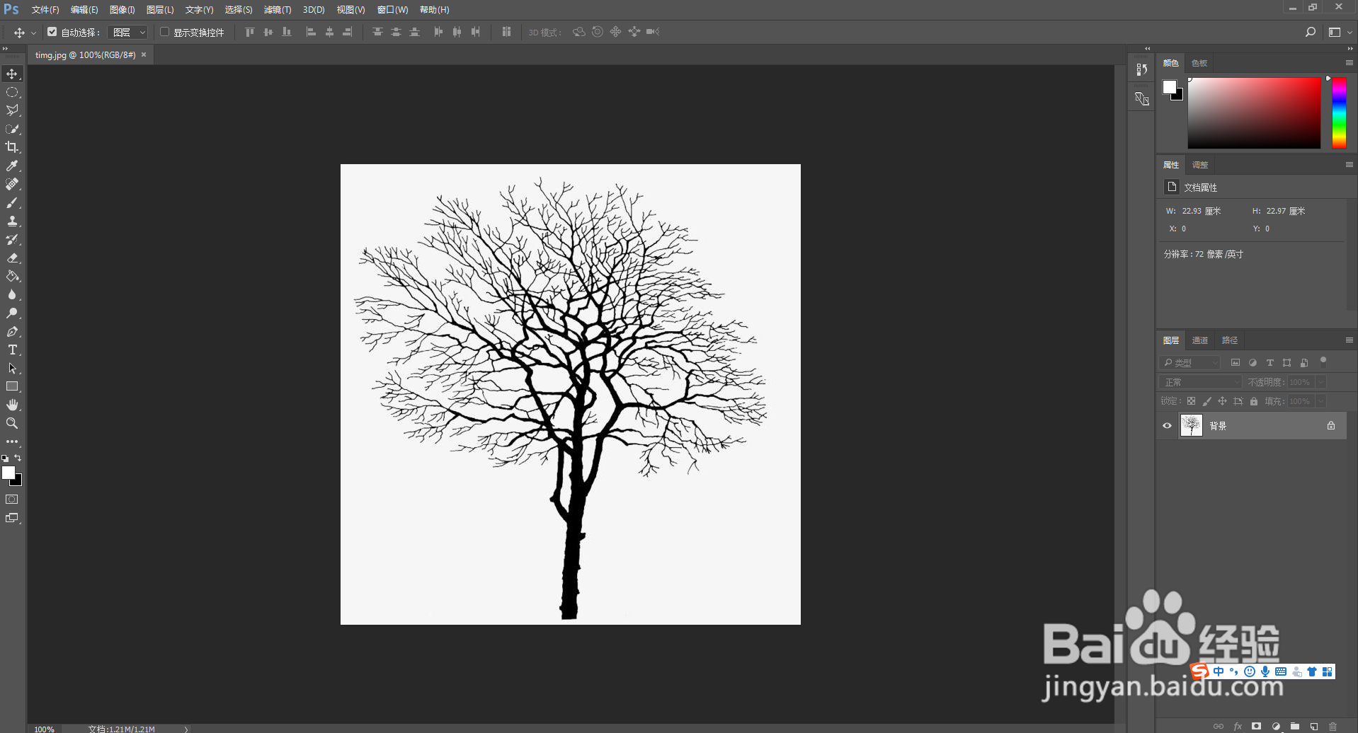 <b>如何用PS抠出复杂的树木等图片</b>