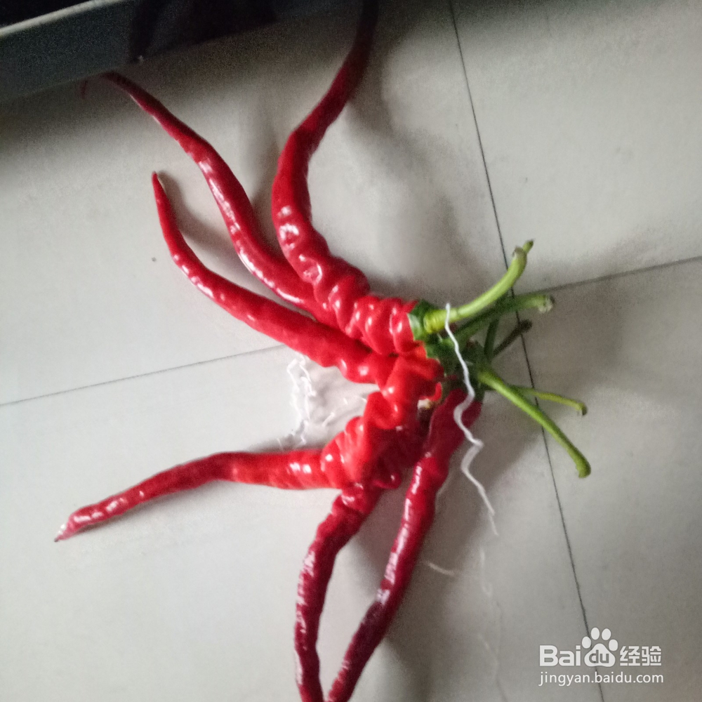 怎样串红辣椒
