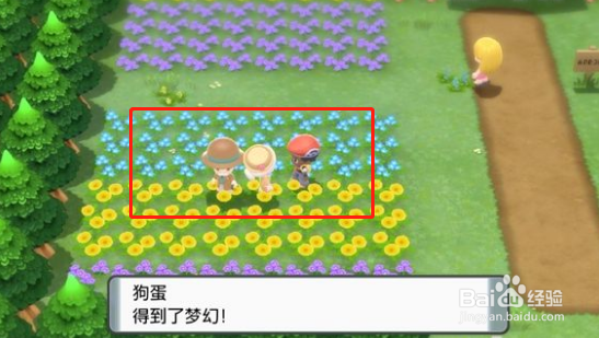 宝可梦晶灿钻石明亮珍珠光之石获得攻略