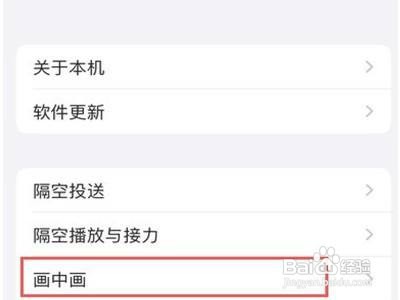 苹果13promax怎么开启画中画