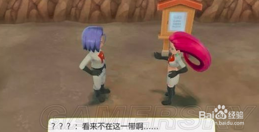 switch宝可梦攻略