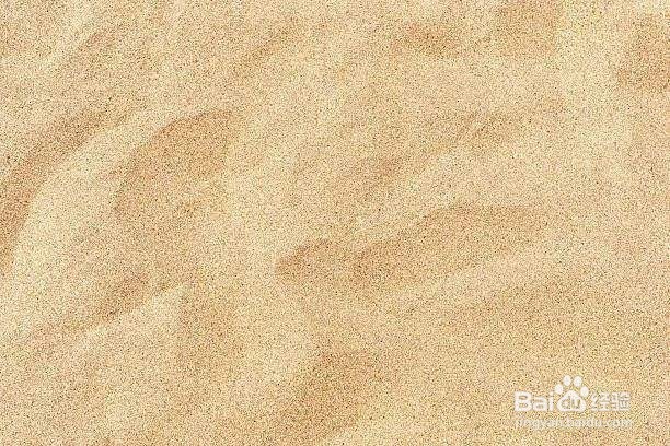 生板栗保存一年方法