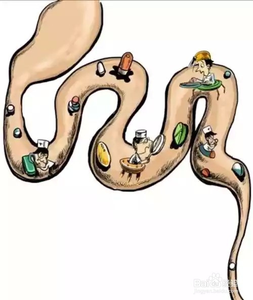 清除身体的宿便，能减肥!!!