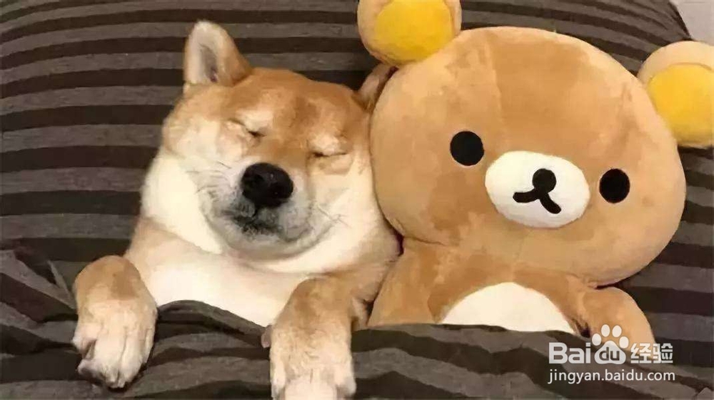 为什么早晨有的人喜欢赖床?