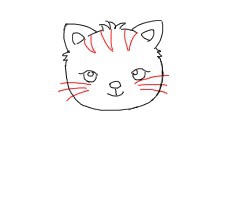 简笔画---怎么画猫