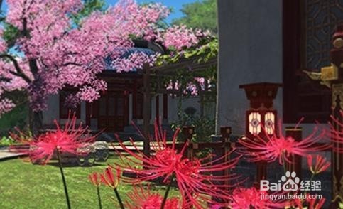 天涯明月刀代工攻略