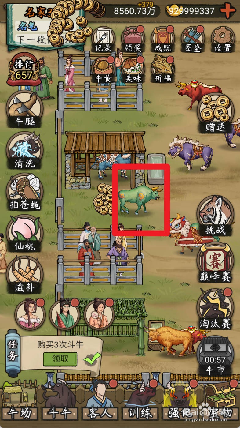 叫我养牛王如何购买害怕过年的青牛