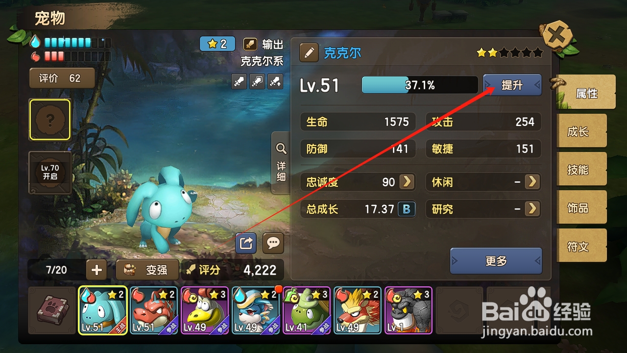 新石器时代怎么提升宠物克克尔的经验？