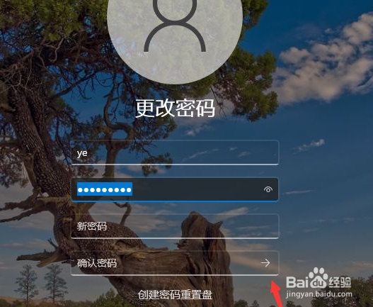 win11怎么取消开机密码