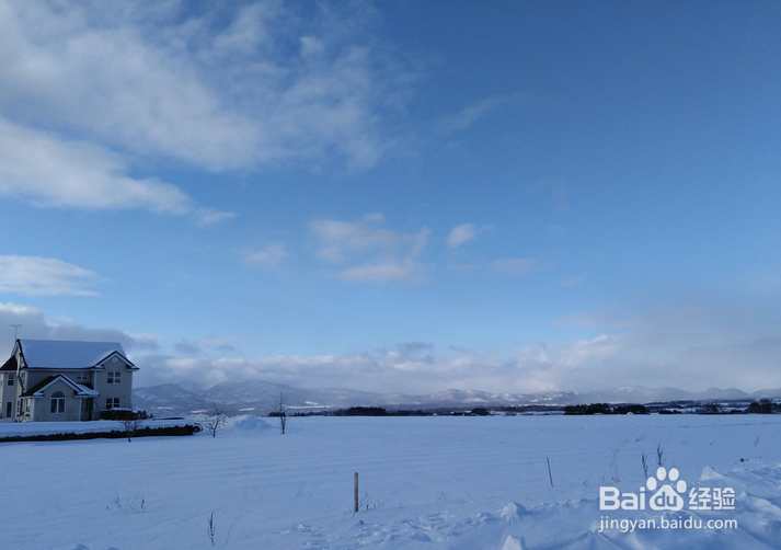 一条性价比爆棚的万元以下日本北海道观雪路线