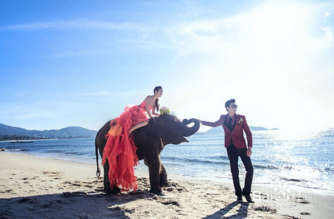 送给准备婚礼的小白们